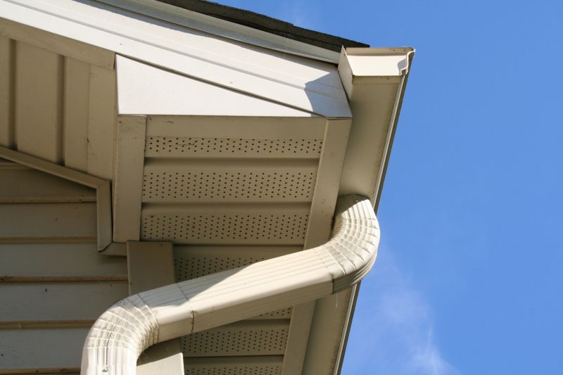Downspout Snaking in Fredericksburg, VA