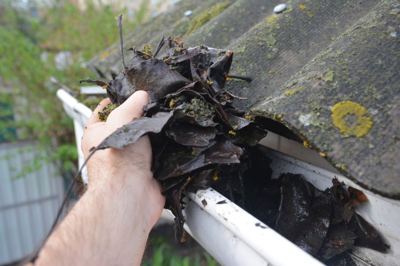 Garage Gutter Cleaning in Annapolis, MD