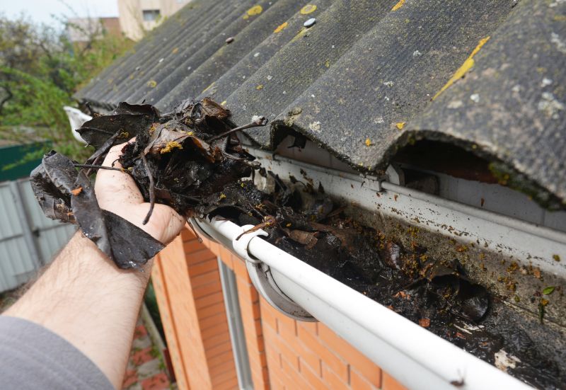 Gutter Leaf Clearing in Baltimore, MD