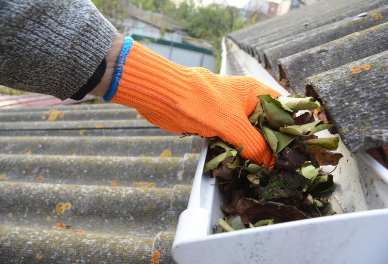 Rain Gutter Clearing in Monmouth County, NJ